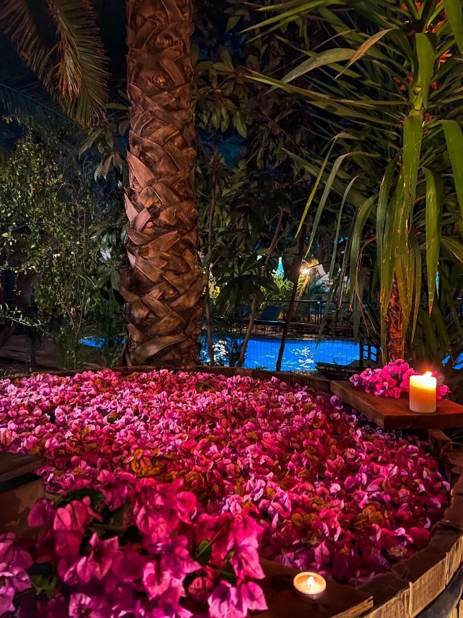 Barros Wellness & Spa Resort Boutique Los Andes Kültér fotó